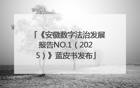《安徽数字法治发展报告NO.1（2025）》蓝皮书发布