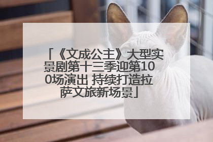 《文成公主》大型实景剧第十三季迎第100场演出 持续打造拉萨文旅新场景