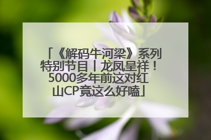 《解码牛河梁》系列特别节目丨龙凤呈祥！5000多年前这对红山CP竟这么好嗑