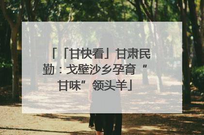 「甘快看」甘肃民勤：戈壁沙乡孕育“甘味”领头羊