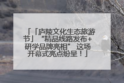 「庐陵文化生态旅游节」“精品线路发布+研学品牌亮相” 这场开幕式亮点纷呈！