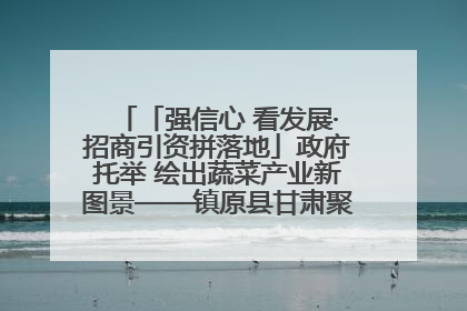 「强信心 看发展·招商引资拼落地」政府托举 绘出蔬菜产业新图景——镇原县甘肃聚广利现代设施蔬菜种植基地见闻
