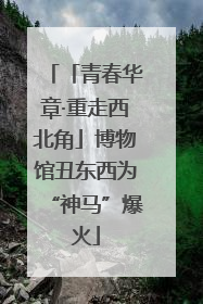 「青春华章·重走西北角」博物馆丑东西为“神马”爆火