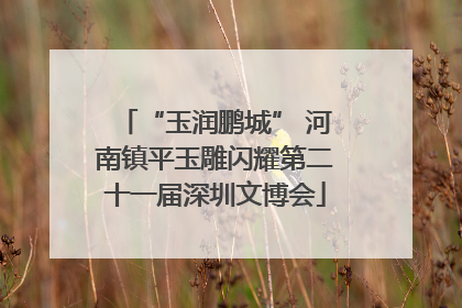 “玉润鹏城” 河南镇平玉雕闪耀第二十一届深圳文博会