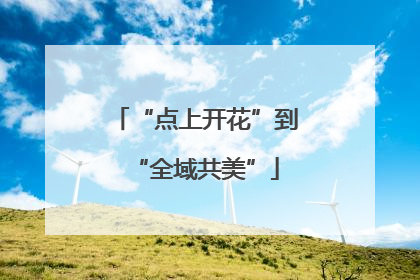“点上开花”到“全域共美”