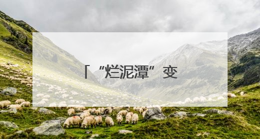 “烂泥潭”变网红打卡地