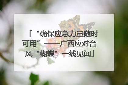 “确保应急力量随时可用”——广西应对台风“蝴蝶”一线见闻