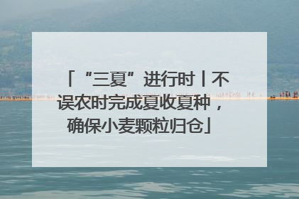 “三夏”进行时丨不误农时完成夏收夏种，确保小麦颗粒归仓