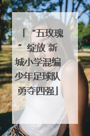 “五玫瑰”绽放 新城小学混编少年足球队勇夺四强