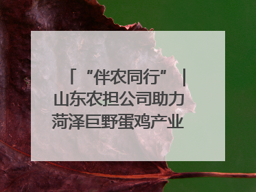 “伴农同行”｜山东农担公司助力菏泽巨野蛋鸡产业高质量发展