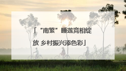 “南繁”睡莲竞相绽放 乡村振兴添色彩