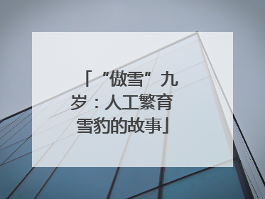 “傲雪”九岁：人工繁育雪豹的故事