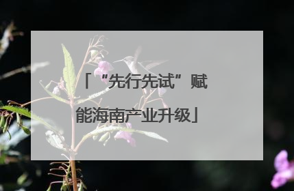 “先行先试”赋能海南产业升级