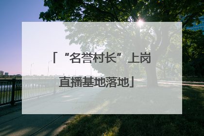 “名誉村长”上岗 直播基地落地