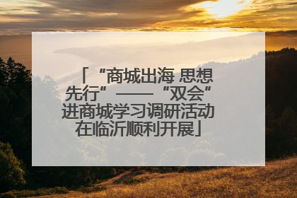 “商城出海 思想先行”——“双会”进商城学习调研活动在临沂顺利开展