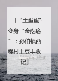 “土蛋蛋”变身“金疙瘩”：孙伯镇西程村土豆丰收记