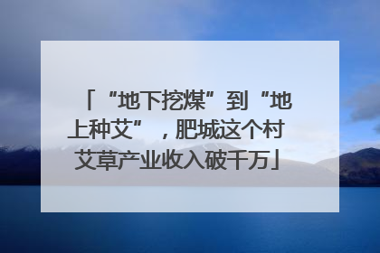 “地下挖煤”到“地上种艾”，肥城这个村艾草产业收入破千万