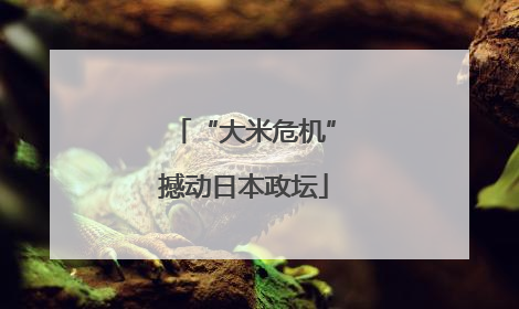 “大米危机”撼动日本政坛