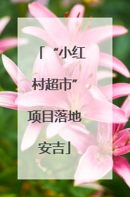 “小红村超市”项目落地安吉