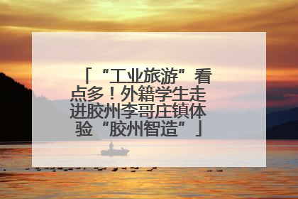 “工业旅游”看点多！外籍学生走进胶州李哥庄镇体验“胶州智造”