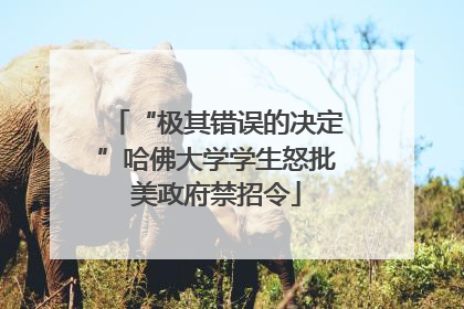 “极其错误的决定”哈佛大学学生怒批美政府禁招令