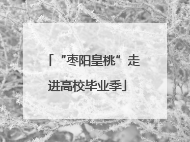 “枣阳皇桃”走进高校毕业季