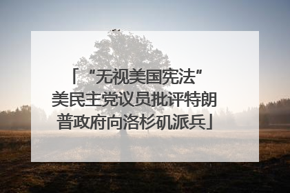 “无视美国宪法” 美民主党议员批评特朗普政府向洛杉矶派兵