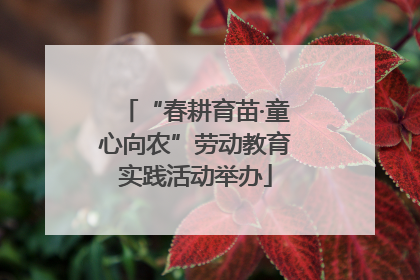 “春耕育苗·童心向农”劳动教育实践活动举办