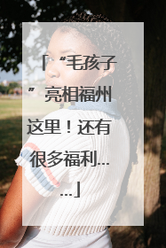 “毛孩子”亮相福州这里！还有很多福利……