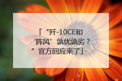 “歼-10CE和‘阵风’孰优孰劣？”官方回应来了