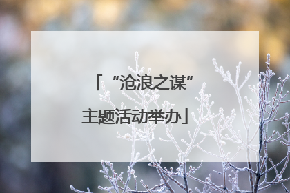 “沧浪之谋”主题活动举办