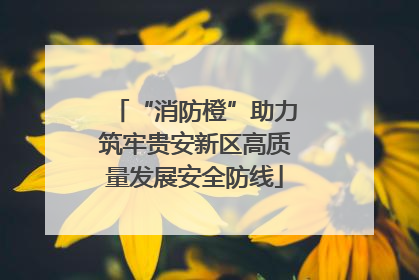 “消防橙”助力筑牢贵安新区高质量发展安全防线