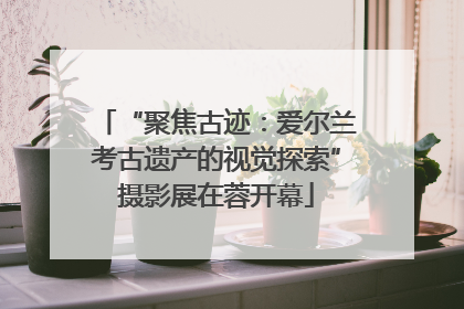 “聚焦古迹：爱尔兰考古遗产的视觉探索”摄影展在蓉开幕