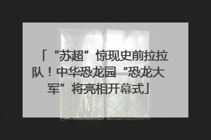 “苏超”惊现史前拉拉队！中华恐龙园“恐龙大军”将亮相开幕式