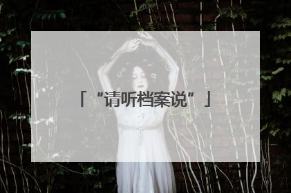 “请听档案说”