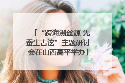 “跨海溯丝源 先蚕生古泫”主题研讨会在山西高平举办