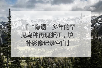 “隐退”多年的罕见鸟种再现浙江，填补影像记录空白
