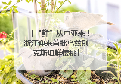 “鲜”从中亚来！浙江迎来首批乌兹别克斯坦鲜樱桃