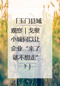 玉门县域观察｜戈壁小城何以让企业“来了就不想走”？
