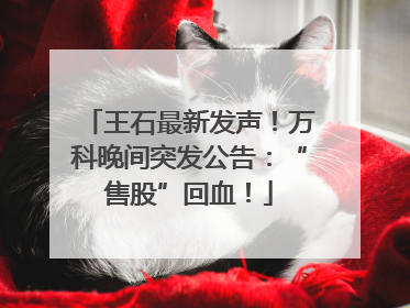 王石最新发声！万科晚间突发公告：“售股”回血！