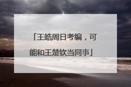王皓周日考编，可能和王楚钦当同事