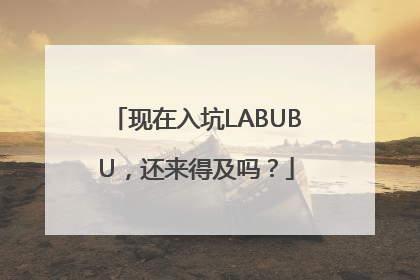 现在入坑LABUBU，还来得及吗？