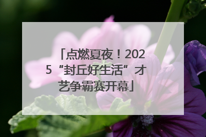 点燃夏夜！2025“封丘好生活”才艺争霸赛开幕