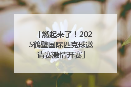 燃起来了！2025鹤壁国际匹克球邀请赛激情开赛