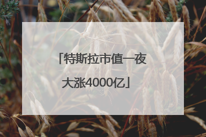 特斯拉市值一夜大涨4000亿