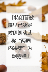 特朗普被曝早已决定对伊朗动武 称“两周内决策”为烟雾弹