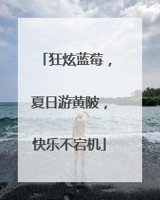 狂炫蓝莓，夏日游黄陂，快乐不宕机