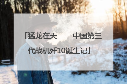 猛龙在天——中国第三代战机歼10诞生记