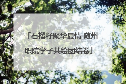 石榴籽聚华夏情 随州职院学子共绘团结卷