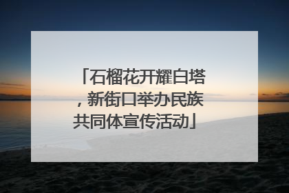 石榴花开耀白塔，新街口举办民族共同体宣传活动